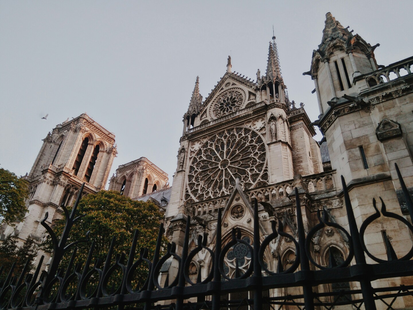 Notre-Dame interior with rose window light
